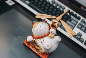 chú ý khi chơi theo kế hoạch